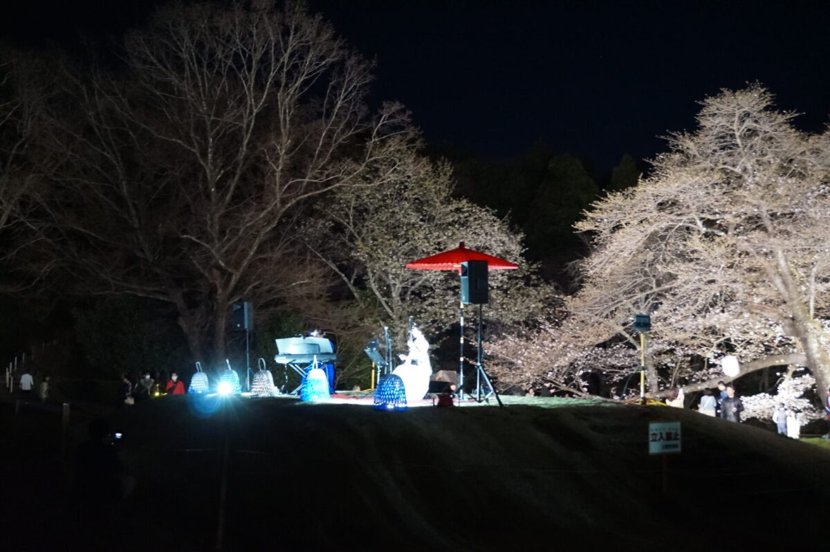 夜桜×二胡コンサート