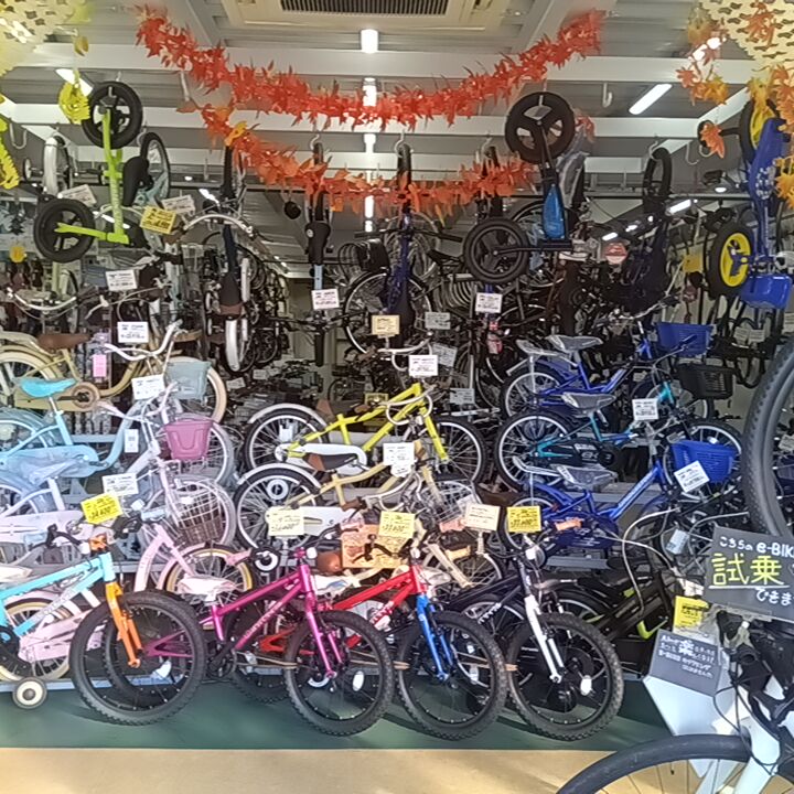 種類が豊富な店内